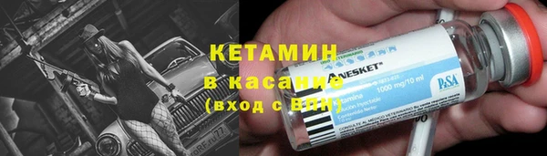 прущие грибы Балахна