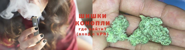 прущие грибы Балахна