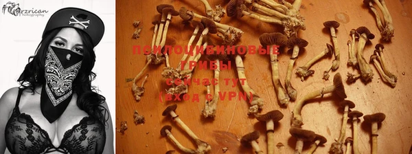 СК Белоозёрский