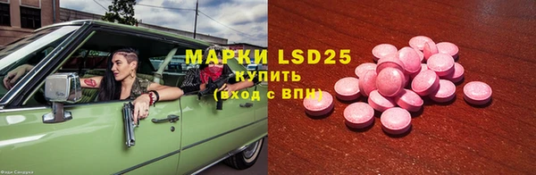 прущие грибы Балахна