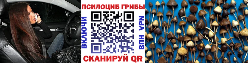 Псилоцибиновые грибы Psilocybe  Чапаевск 